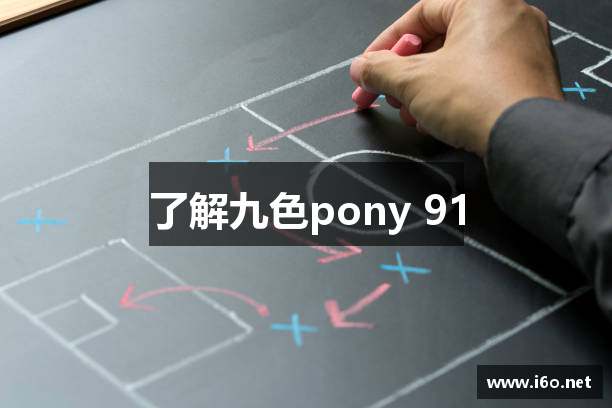 了解九色pony 91